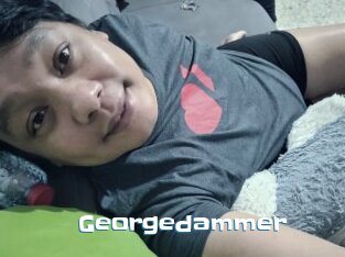 Georgedammer