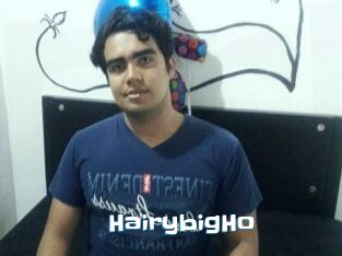 HairybigHo