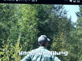 HandsumNHung