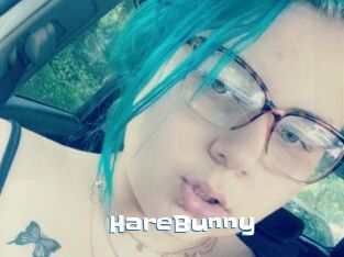 HareBunny