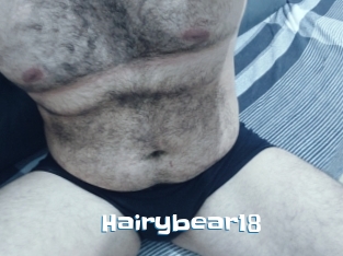Hairybear18