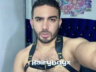Hairyboyx