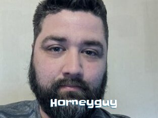 Horneyguy