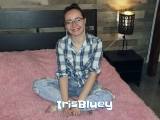 IrisBluey