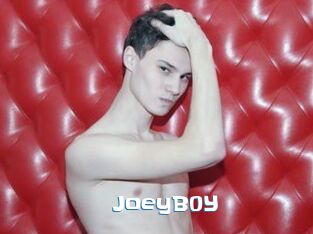 JoeyB0Y