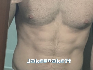 Jakesnake14