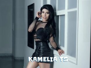 KAMELIA_TS