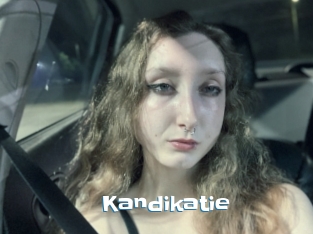 Kandikatie