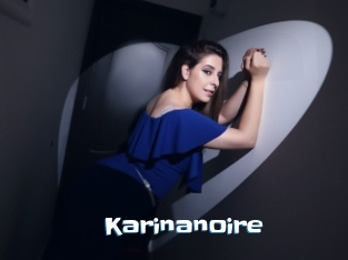 Karinanoire