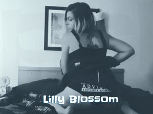 Lilly_Blossom