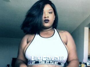 Lily_Cavalli