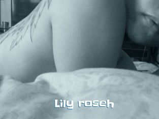 Lily_roseh