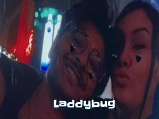 Laddybug