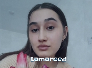 Lamareed