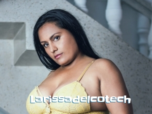 Larissadelcotech