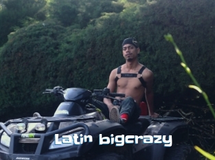 Latin_bigcrazy