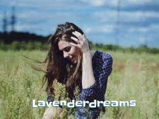 Lavenderdreams