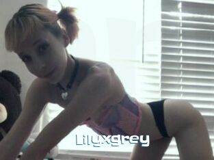 Lilyxgrey