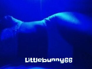 Littlebunny66