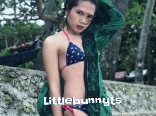 Littlebunnyts