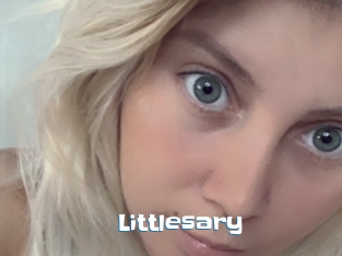 Littlesary