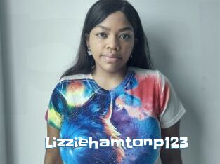 Lizziehamtonp123