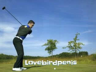 Lovebirdpenis