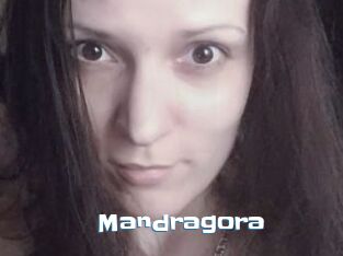 Mandragora