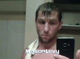 Mason_Levy