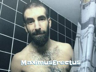 MaximusErectus