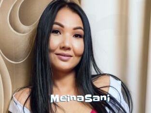 MeinaSani