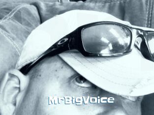 MrBigVoice