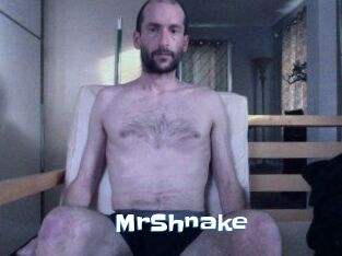 MrShnake