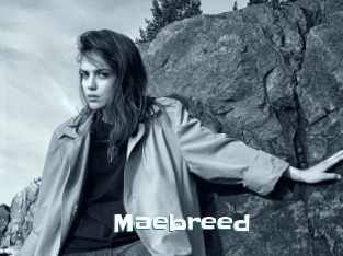 Maebreed