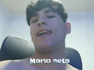 Mario_neta