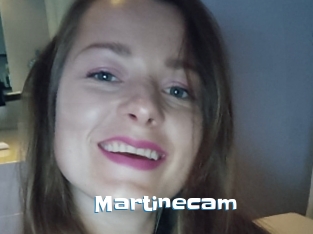 Martinecam