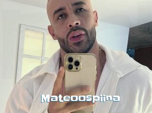 Mateoospiina
