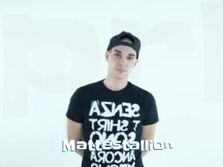 Mattestallion