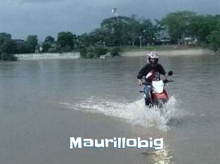 Maurillobig