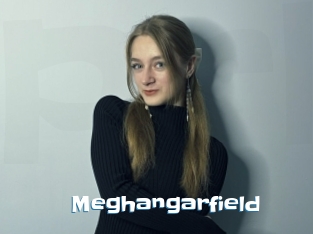 Meghangarfield