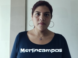 Merlincampos
