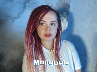 Mollybuls