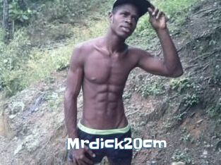 Mrdick20cm