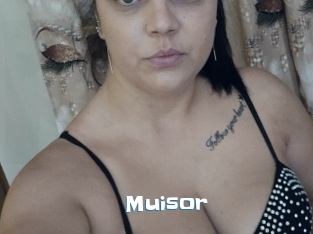 Muisor