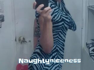 Naughtyniceness