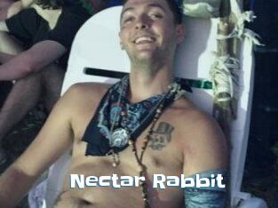 Nectar_Rabbit