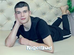 NigelBud