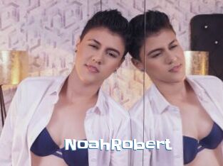 NoahRobert