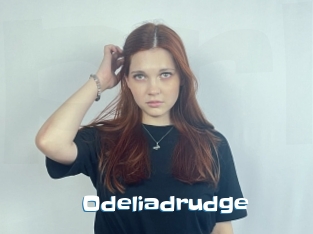 Odeliadrudge
