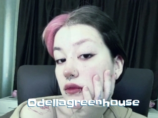 Odellagreenhouse